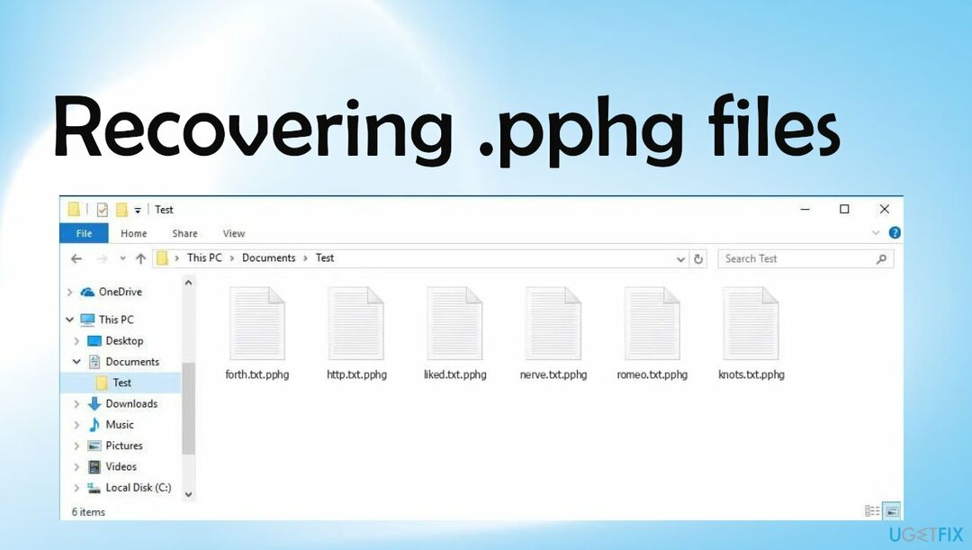 Wiederherstellung von Pphg-Ransomware-Dateien