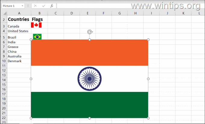 Insertar imagen en Excel usando Copiar y Pegar