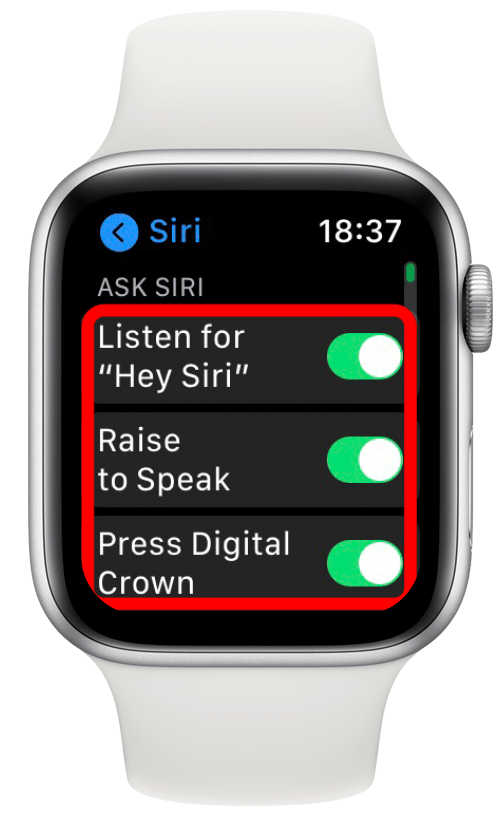 Stellen Sie sicher, dass „Hören Sie auf „Hey Siri“, „Raise to Speak“ und „Press Digital Crown“ eingeschaltet ist. 