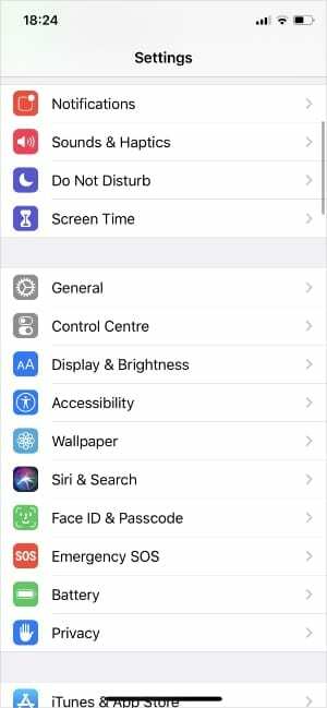 iPhone सेटिंग्स सामान्य सेटिंग्स दिखा रही हैं