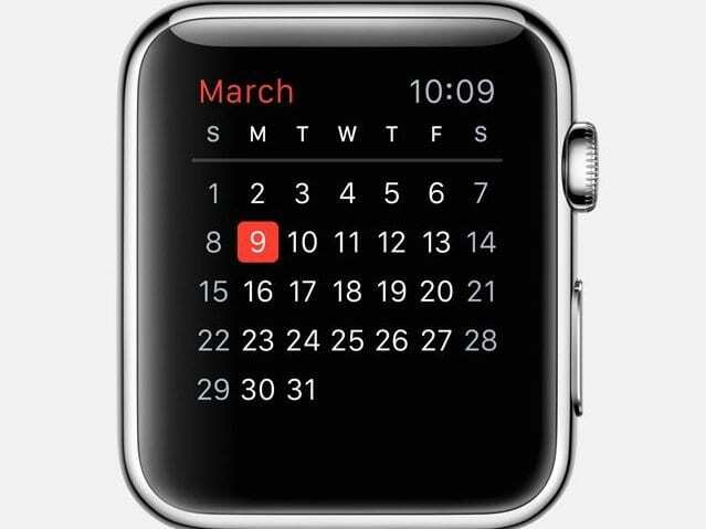 Kalender Apple Watch