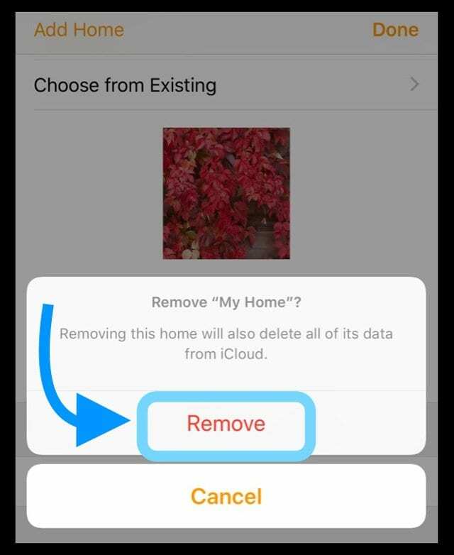 HomePod non viene visualizzato o non è disponibile nell'app Home?