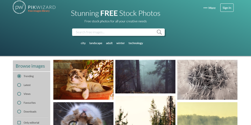Stock Photo Website - Pikwizard 