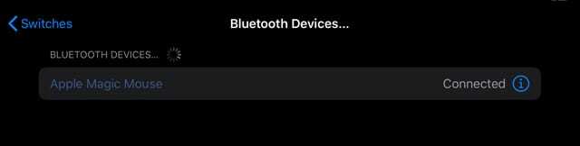 mouse connesso con successo all'iPad con iPadOS