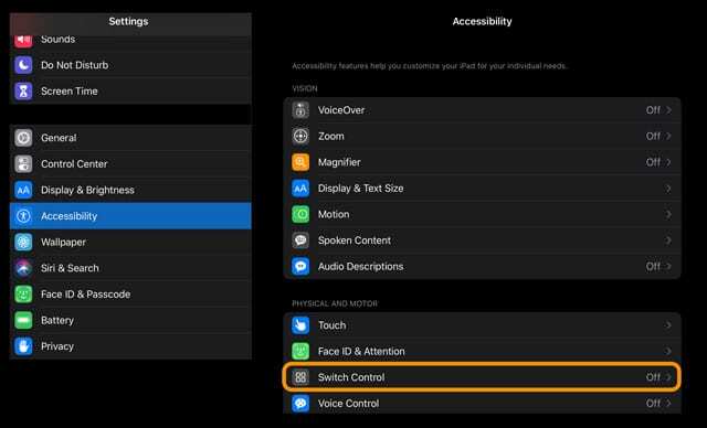 funzione di controllo dell'interruttore in accessibilità