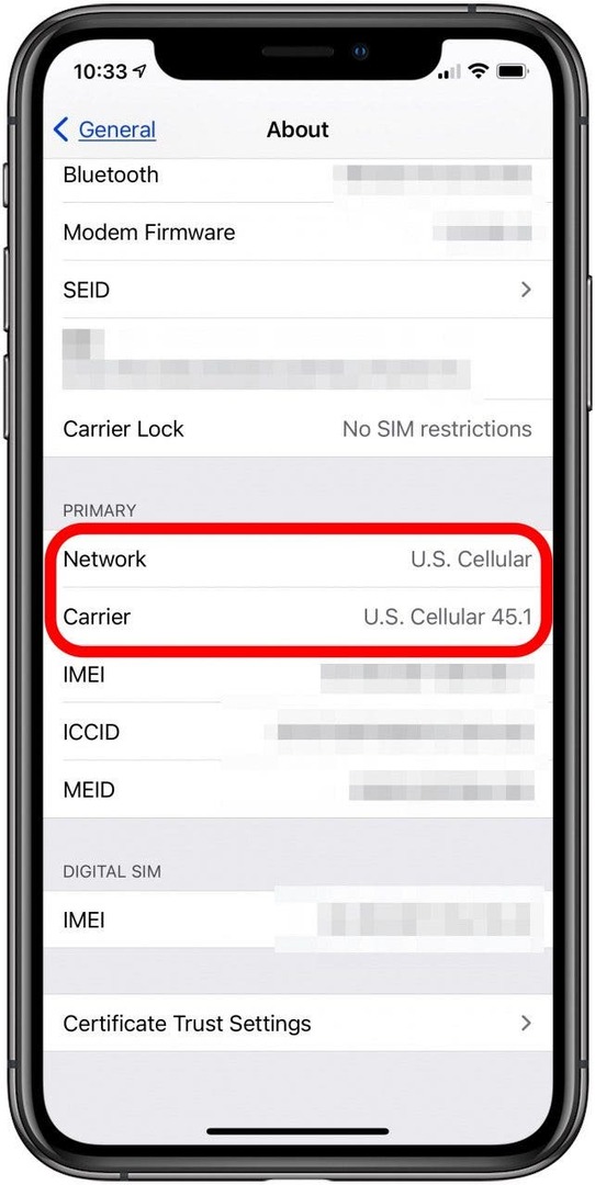 iPhone-Netzwerk- und Netzbetreiberinformationen