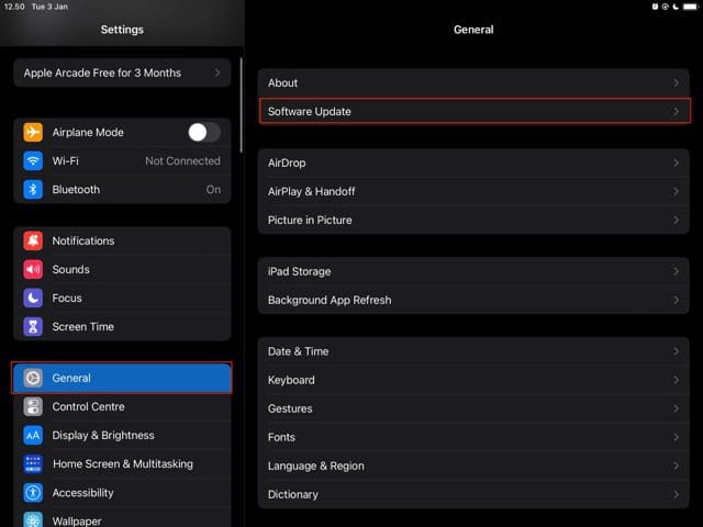 iPad पर सॉफ़्टवेयर अपडेट सेटिंग दिखाने वाला स्क्रीनशॉट