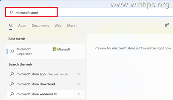 Επιδιόρθωση του Microsoft Store που λείπει στα Windows 1110