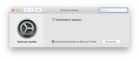 צילום מסך של חלון " מחפש עדכונים" של macOS
