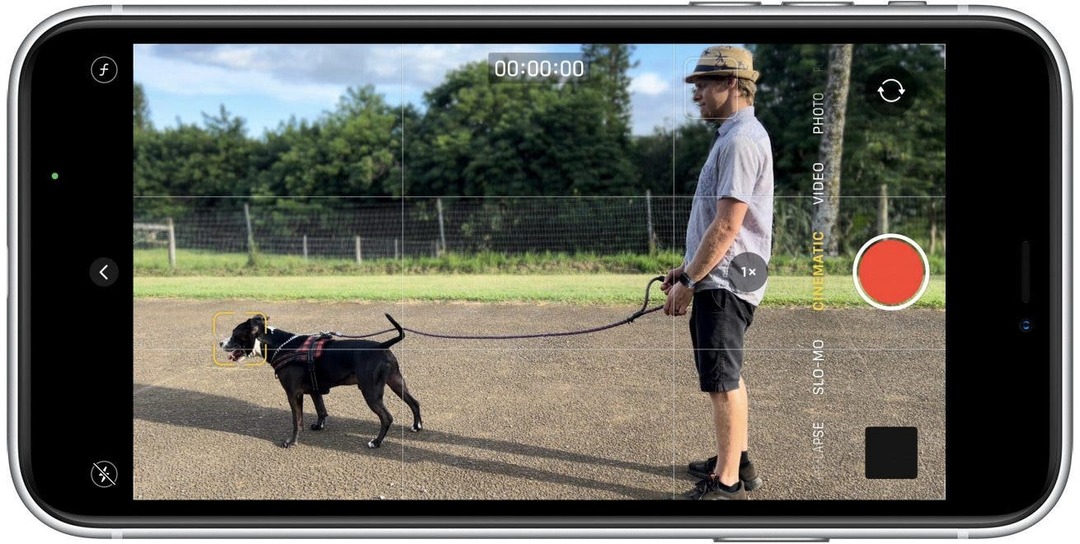 Si vous n'appuyez sur rien sur l'écran, votre appareil photo se concentrera sur le sujet évident ou situé au centre.