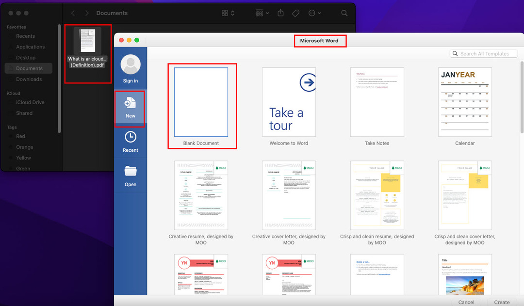 Öffnen Sie den Speicherort der PDF-Datei und Word nebeneinander und erstellen Sie eine leere Word-Datei