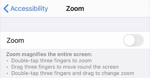 Configuración de accesibilidad de zoom en iPhone