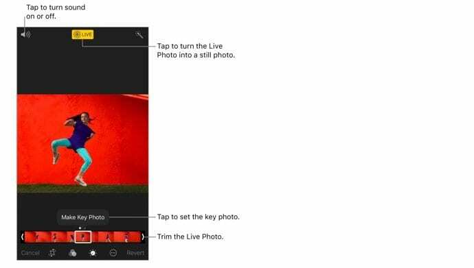 iPhone의 라이브 사진, 방법