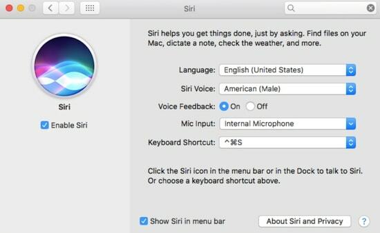 Установіть прапорець Siri Enable на Mac