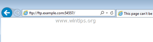 Webbrowser FTP-Zugriff