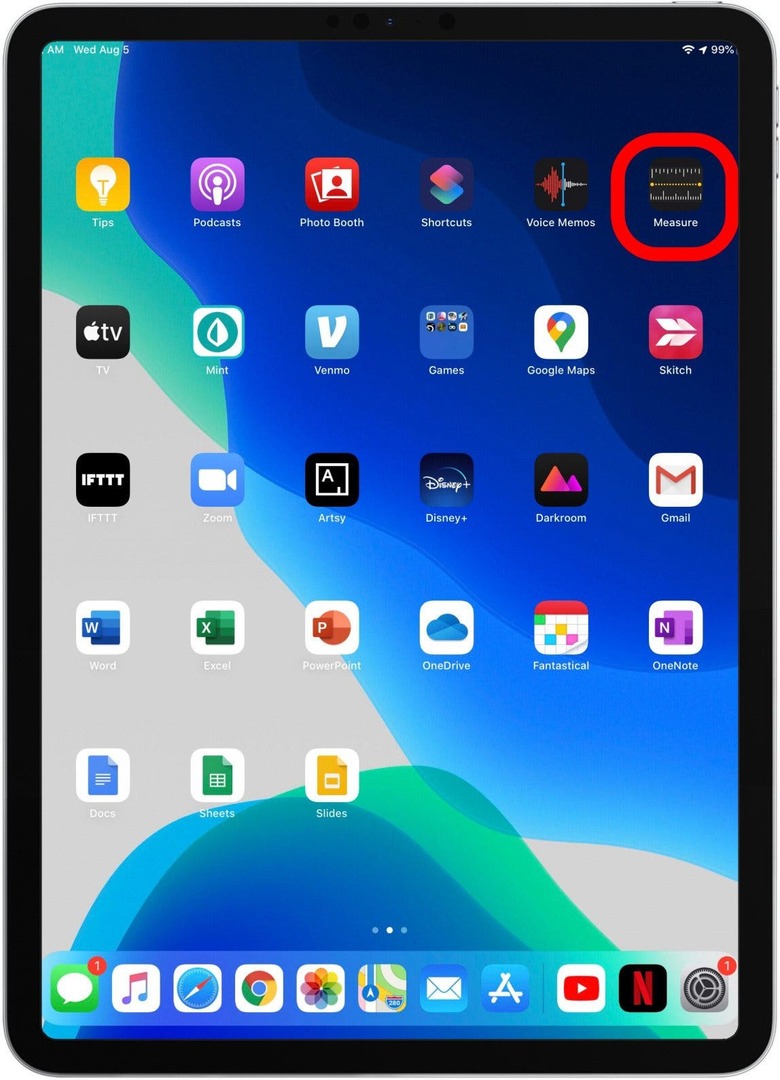 mesurer l'application ipad pro