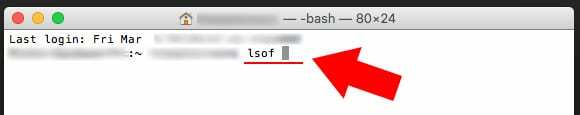 Datoteka macOS v uporabi – terminal