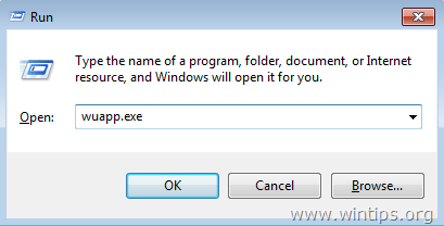 wuapp.exe