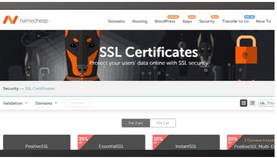 Nama Layanan SSL Murah 