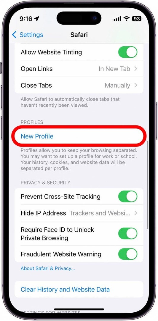iPhone-Safari-Einstellungen mit rot eingekreister Schaltfläche „Neues Profil“.