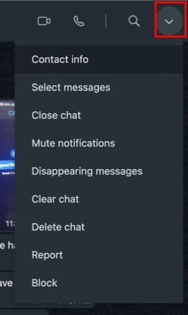 Opzioni del menu WhatsApp Web per Mac