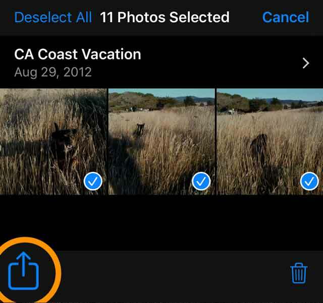 tlačidlo zdieľania aplikácie fotografie iPhone