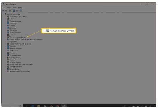 Dispositivos de Interface Humana