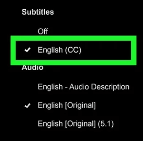 Nyalakan subtitle dan pilih Audio