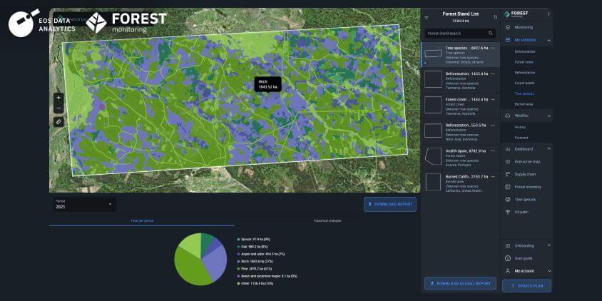 Klasifikácia druhov stromov v Žytomyrskej oblasti, Ukrajina, 2021