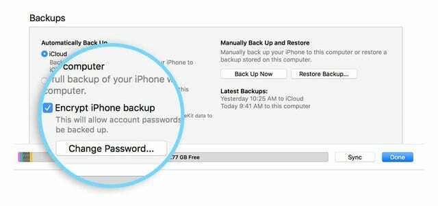 Opção iTunes Encrypt para backups do iPhone