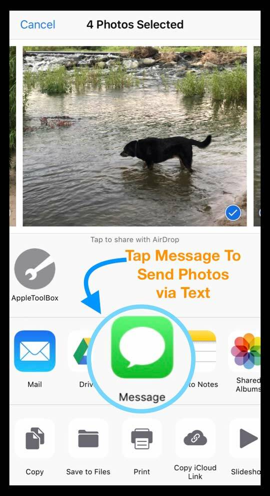 Partager des photos dans l'application Photos à l'aide de la feuille de partage et des messages