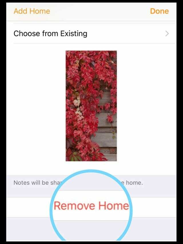 HomePod가 홈 앱에서 표시되지 않거나 사용할 수 없습니까?