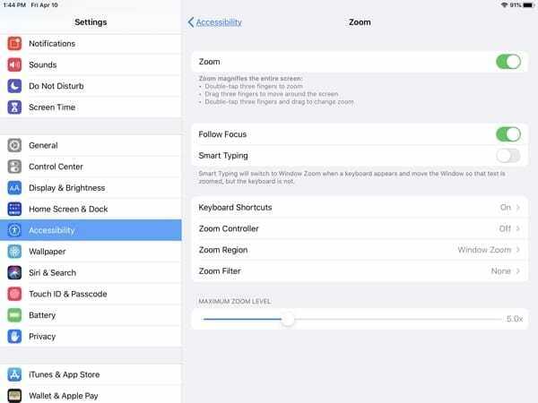 iPad Accessibility-Zoom