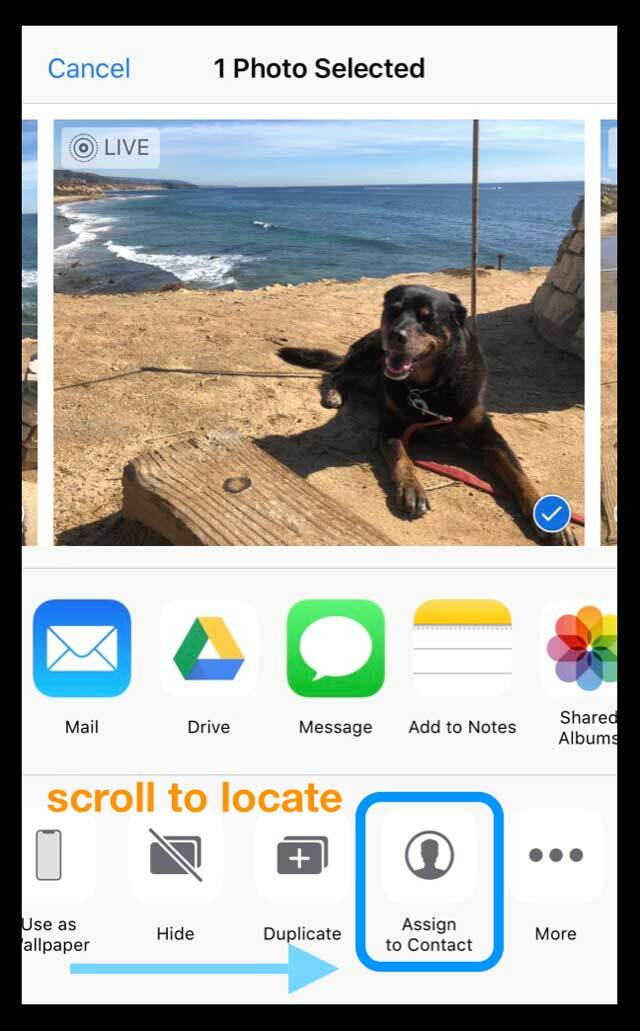Assegnazione di foto all'app per le foto dei contatti iPhone