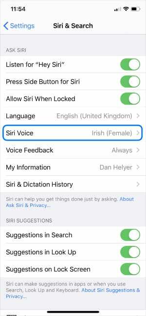 Configuração de voz Siri nas configurações do iPhone