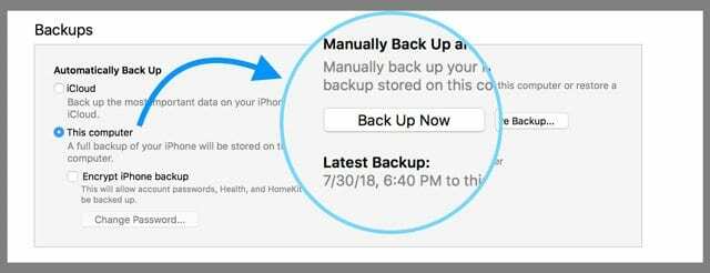 Esegui il backup ora con iTunes