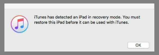iTunes oppdager iPad i gjenopprettingsmodus