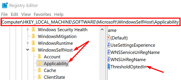 thresholdoptedin-windows-registry