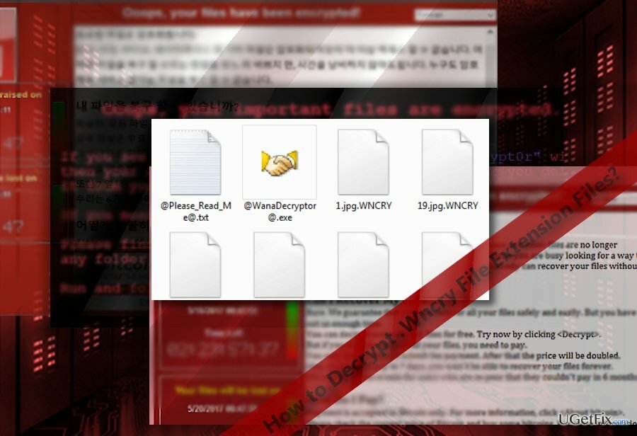 WNCRY फिरौती नोटों और एन्क्रिप्टेड फ़ाइलों को दर्शाने वाली छवि