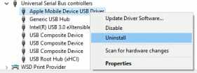 Disinstallare il driver USB del dispositivo mobile Apple