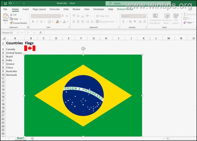 Como inserir imagens online no Excel.