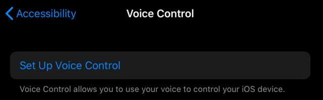 come configurare il controllo vocale in iOS 13 e iPad OS