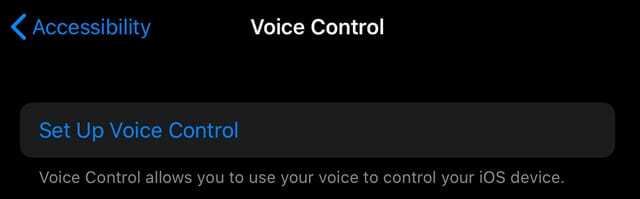 როგორ დააყენოთ ხმოვანი კონტროლი iOS 13 და iPad OS-ში