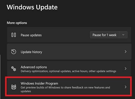 برنامج Windows-Insider