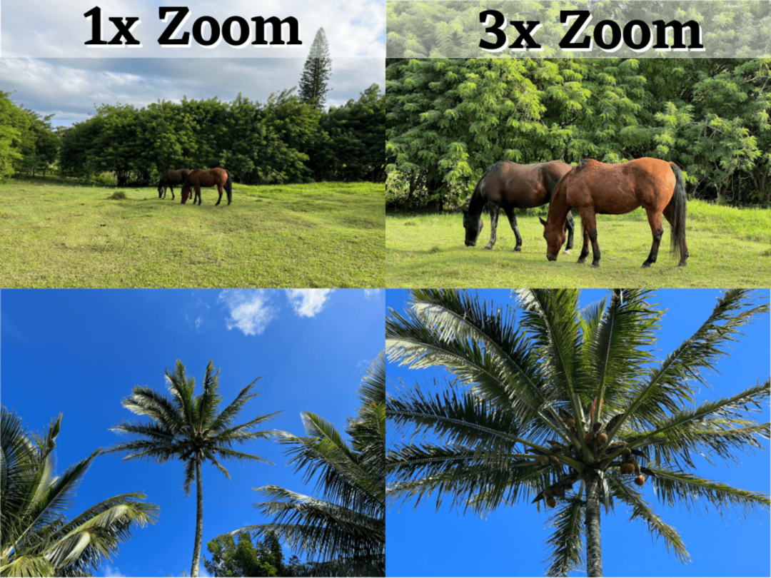 3x Zoom Mezzi: ingrandimento della fotocamera digitale rispetto allo zoom ottico