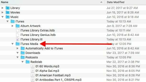 Utilizzo di iTunes 12.7, suggerimenti comuni