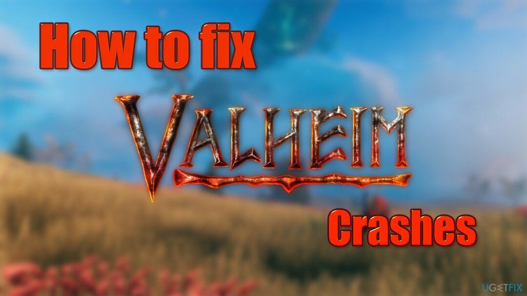 Bagaimana cara memperbaiki crash dan error Valheim?