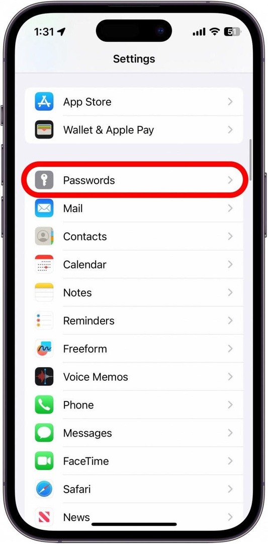 पासवर्ड विकल्प के साथ iPhone सेटिंग्स लाल रंग में घेरे गए हैं