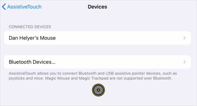 Bluetoothマウスが接続されたiPadOSAssistiveTouchデバイスページ