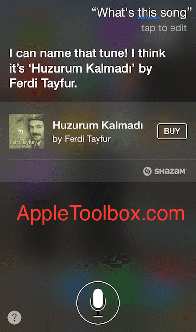 Siri tuvastab Türgi laulu